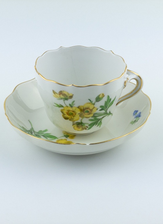 Кофейная пара, Мейсен Анимон